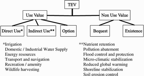 Figure 2 Components of total economic value of water resources (adapted from Birol et al. Citation2006)