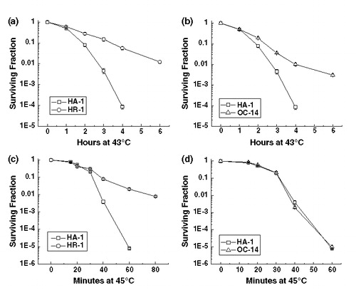 Figure 1. The effect of exposure to 43°C (a, b) and 45°C (c, d) for various lengths of time on the clonogenic survival of wild-type HA-1 cells and the heat-resistant variants HR-1 (a, c) and OC-14 (b, d). Heating and clonogenic survival assays were performed as described in Materials and methods. The figure represents the average of three independent experiments; the error bars represent ±1 SEM.