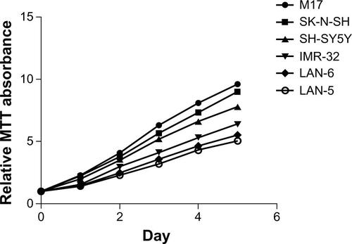 Figure S1 The neuroblastoma cell growth as determined by MTT assay.Abbreviation: MTT, 3-(4, 5-dimethyl-2-thiazolyl)-2, 5-diphenyl-2H-tetrazolium bromide.