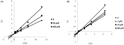 Figure 1. Kinetic study of the mechanism of ChEs inhibition by compound 13. Overlaid Lineweaver–Burk reciprocal plots of ChEs initial velocity at increasing substrate concentration in the absence of inhibitor and in the presence of 13 are shown. A is a double reciprocal plot of compound 13 inhibition of AChE. B is a double reciprocal plot of compound 13 inhibition of BuChE.