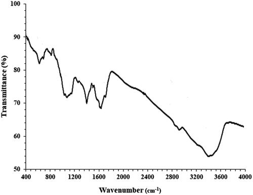 Figure 2. FT-IR spectrum of ZnNPs.