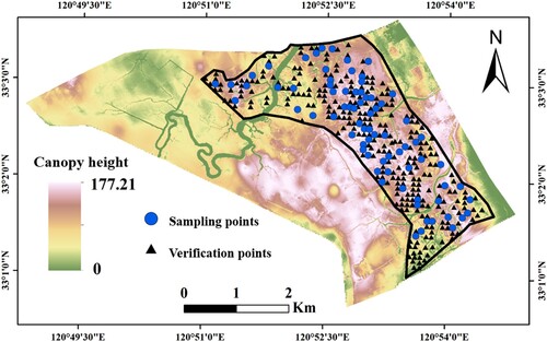 Figure 5. Spatial distribution of field verification points for S. alterniflora height and biomass.