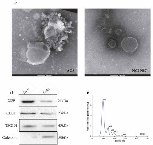 Figure 1. (Continued)