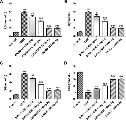 Figure 6 GW501516 inhibited the expression of lipid metabolism-related factors in blood. The expressions of LDL (A), TC (B), TG (C) and HDL (D) were determined by the corresponding kit. n=10, ***p<0.001 vs control; #p<0.05, ##p<0.01, ###p<0.001 vs GDM.