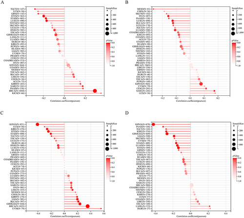 Figure 6 Pan-cancer analysis of COTL1 in correlation with genomic-instability markers. (A) HRD. (B) Ploidy. (C) LOH. (D) MATH.