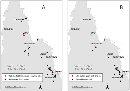 Figure 2. Map of northern Queensland, Australia showing the locations where Painted and Little Button-quail were recorded (A) and Red-backed and Red-chested Button-quail were recorded (B). Note Little Button-quail were recorded at only one site and Red-chested Button-quail were recorded at only two sites.