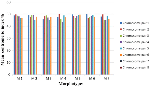 Figure 5. Mean centromeric index of each chromosome pair in eight sets of chromosomes, isolated from the seven L. stolonifera morphotypes (M1–M7).