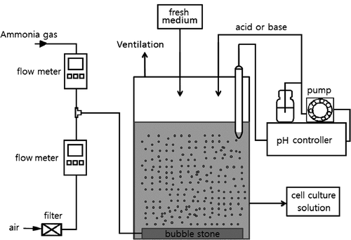 Figure 1. Schematics of the laboratory-scale algal culture system for ammonia gas mitigation.