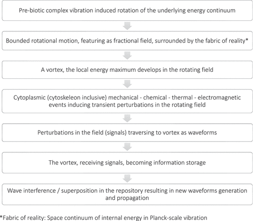 Figure 1a. Sequence of events regarding information vortex.