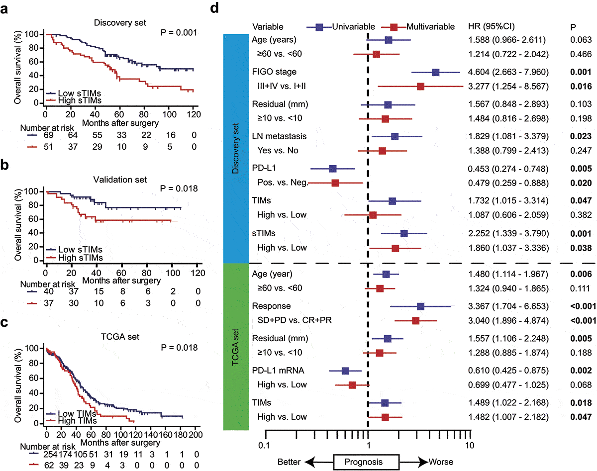 Figure 2. sTIMs predicts poor prognosis in HGSOC. a-b Kaplan-Meier curve was established according to different sTIMs level in Discovery set and Validation set. The overall survival (OS) was compared between patients with high sTIMs and low sTIMs infiltration. Log-rank test was performed for Kaplan-Meier curves. c Kaplan-Meier curve and log-rank test were conducted according to different TIMs level in TCGA set. OS was compared between patients with high TIMs and low TIMs infiltration. Log-rank test was performed for Kaplan-Meier curves. d Univariate and multivariate cox regression for TIMs and clinic-pathological variables in Discovery set (n = 120) and TCGA set (n = 316). HR, hazard ratio; CI, confidence interval; Pos., positive; Neg., negative; LN metastasis, lymph nodes metastasis; SD, stable disease; PD, progressive disease; CR, complete remission; PR, partial remission. Significant P values (P < .05) are bolded