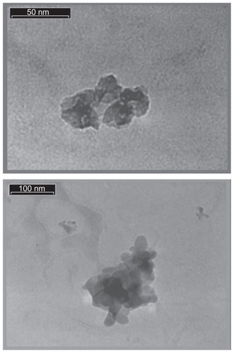 Figure 3 Bright field TEM image of FHA nanoparticles.Abbreviations: FHA, fluor-hydroxyapatite; TEM, transmission electron microscopy.