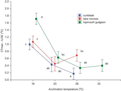Figure 2. Effect of acclimation temperature on the CTmax – ILOE difference values (±95% CL) for the studied fish species. The same letters next to marks denote groups that did not statistically differ (the LSD Fisher post hoc test).