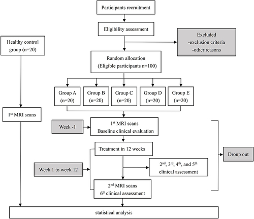 Figure 1 Flowchart of the study design.