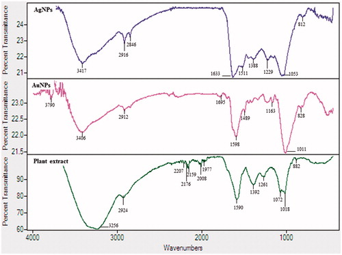 Figure 6. FTIR spectra of Euphrasia officinalis leaf extract, silver nanoparticles and gold nanoparticles.