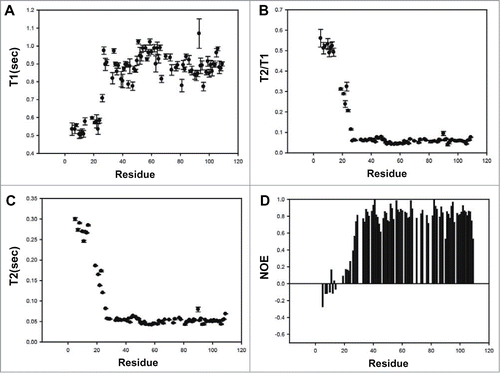 Figure 4. NMR relaxation data of the complex formed between MDM2 and the p73TAD peptide. Measurements of T1 (A), T2 (B), T2/T1 (C) and heteronuclear NOE (D).