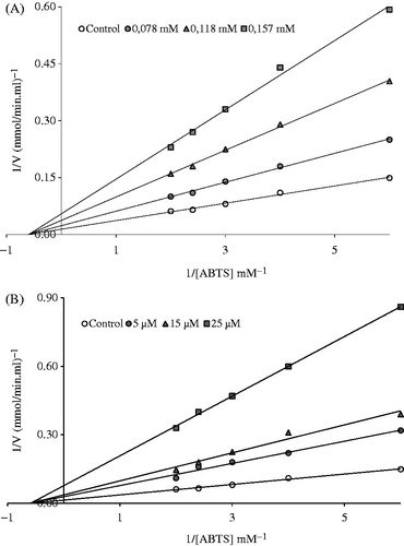 Figure 2. Lineweaver–Burk graph in five different substrate (ABTS) concentrations and in three different (A) ferulic acid and (B) quercetin concentrations for the determination of Ki.