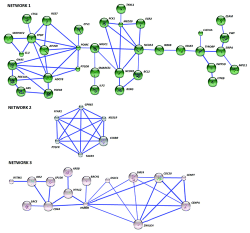 Figure 3. The differentially methylated genes in EA interact in three networks. Network 1 is constituted by 35 genes and several key nodes and includes purine metabolism as the most significant pathway. Network 2 is enriched in 6 G-protein-coupled receptors mainly involved in calcium signaling while 15 genes in Network 3 bear the node HMMR, indicating ECM remodeling relation pathways. Known and predicted protein-protein interactions (identified at confidence score > 0.7) are shown. Only the networks with at least one node consisting of more than 3 neighbors are displayed.