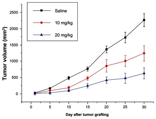 Figure 2 Effect of HX-1162 on tumor growth in vivo.