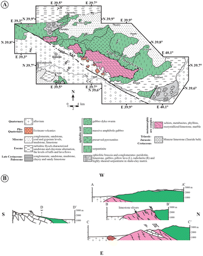 Figure 3. Geological map and cross-sections of the Refahiye ophiolite in the vicinity of Erzincan. (A) Geological map featuring the position of the cross-sections (modified after Aktimur et al., Citation1995; Özen et al., Citation2006; Sarıfakıoğlu et al., Citation2009). (B) Geological cross-section illustrating the positioning and structural relationships between the main units based on field observations.