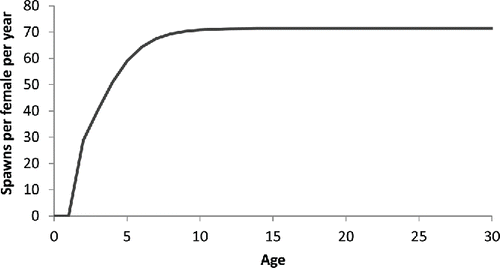 FIGURE 5. Estimated number of Red Snapper spawns at age (years) from the final model, p(a,t′), in Table 4.