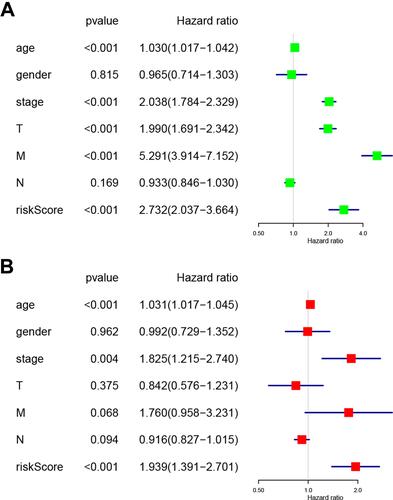 Figure 7 Associations between the clinicopathological characteristics and overall survival of RCC patients. (A) Univariate and (B) multivariate Cox regression results (hazard ratio, 95% confidence interval) indicating the associations between the clinicopathological characteristics and the overall survival of RCC patients.