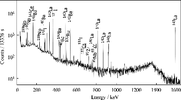 Figure 5. Typical gamma ray spectra measured for the filtrate of #U-O (15 d of leaching in seawater), which was passed through the 0.45-μm membrane. The characteristic gamma ray emitters for quantification are marked above the corresponding peaks with underlining.
