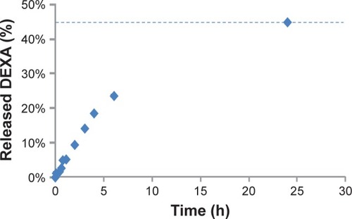 Figure 1 The release curve of the DEXA from SPION-DEXA.Notes: Percentage of released DEXA phosphate is shown. Dashed line indicates the amount of drug released after 24 hours.Abbreviations: DEXA, dexamethasone; SPION-DEXA, SPIONs conjugated with dexamethasone phosphate.