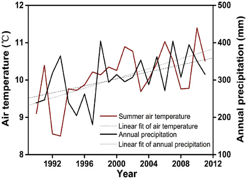 FIGURE 4. Variations in summer air temperature and annual precipitation at the Tuole meteorological station from 1990 to 2011.