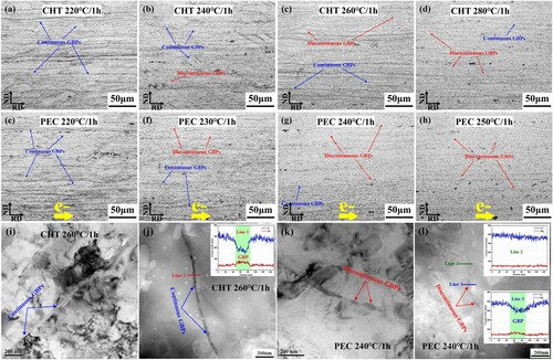 Figure 3. Distribution of grain boundary precipitates (GBPs) in Al-6.98Mg alloy observed by optical microscope (a) (b) (c) (d) and TEM (i) (j) under conventional heat treatment (CHT), by optical microscope (e) (f) (g) (h) and TEM (k) (l) under pulsed electric current treatment (PEC).