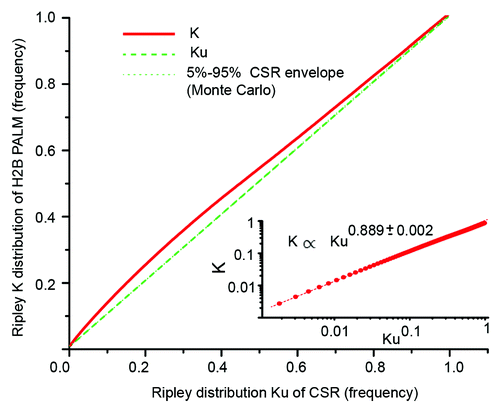 Figure 2. Re-sampling test of H2B distribution against complete spatial randomness (CSR). The Ripley K(r) distribution is the number of H2B detections that lie within a circular vicinity of a reference detection, averaged on all possible references. Ku(r) is the Ripley distribution obtained with the total number of detections redistributed in the nuclear volume under complete spatial randomness, averaged over 100 Monte Carlo repeats. For distances “r” between 0 and 3 µm with a 10 nm step, we computed K(r) and Ku(r), and plotted K(r) against Ku(r). We also plotted the 5% and 95% minimum and maximum quantiles of the Monte Carlo distribution, hardly visible due to the fast convergence of the statistic. As the K statistic never lies in the quantile envelope, the test that the actual distribution of H2B detections could be observed with CSR is rejected at almost every scale at the 10% confidence level. The two distributions K(r) and Ku(r) are expected to converge to each other at large scale. However, within the 3 µm range of our study the inset shows a log-log representation that displays a power law dependence between K(r) and Ku(r).