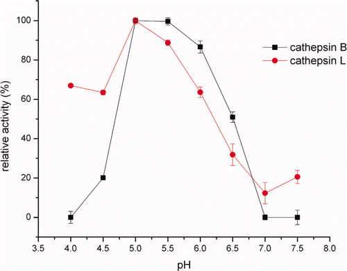 Figure 1. Effects of pH on cathepsin B and L in crude extracts activity. Figura 1. Efectos del pH en catepsina B y L en la actividad de extractos no purificados.