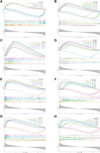 Figure 6 GSEA analysis of 4 diagnostic genes in OA dataset based on GO and KEGG enrichment analyses. Top 10 closely related KEGG pathways and GO terms were shown in each figure. (A and B) GSEA analysis of ELOVL7; (C and D) GSEA analysis of F2RL3; (E and F) GSEA analysis of GP9; (G and H) GSEA analysis of ITGA2B.