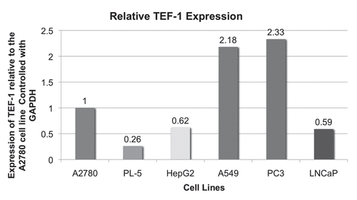 Figure 3 TEF-1 expression in cancer cell lines. mRNAs isolated from the indicated cell lines were reverse transcribed and TEF-1 expression levels were measured by qPCR. Values were mass normalized to GAP DH expression. The A2780 ovarian cancer cell line was chosen as a calibrator. Values represent the means from three independent data points.