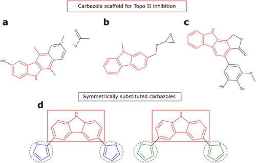 Figure 1. Chemical structures of Topo II inhibitors based on the carbazole scaffold (a–c), and symmetrically substituted carbazoles containing furan and thiophene (d).