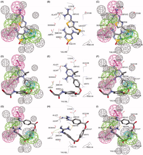 Figure 6. (A, D, G) Mapping compounds (84, 86, 88), respectively with 4LWF_2_04; cocrystallized pharmacophore generated by DS studio 4.5, (B, E, H) docked compounds (84, 86, 88), respectively in ATPase binding pocket of Hsp90 (4LWF, resolution 1.75 Å), (C, F, I) compounds (84, 86, 88) mapped and docked.
