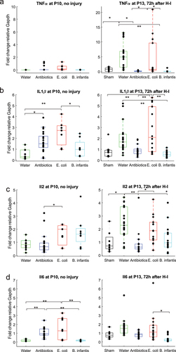 Figure 3. Pro-inflammatory cytokines gene expression before and after H-I across microbiota treatment groups. *-p < 0.05, ** - p < 0.01 on post-hoc tests.