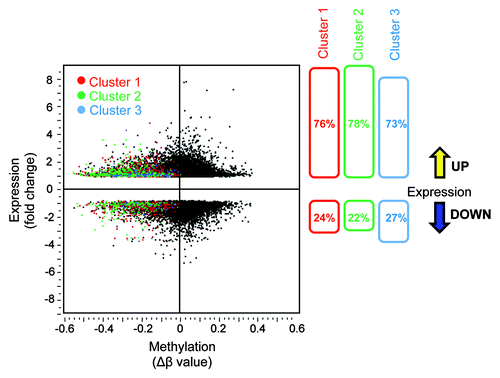 Figure 3. Correlation between DNA demethylation and re-expression of the corresponding genes in AKBA treated CRC cells. The scatter plot illustration of DNA methylation (β-values) data obtained from genome-wide methylation arrays and the changes in gene expression analyzed by microarray analyses in SW48 cells treated with AKBA. The methylation status after AKBA treatment is shown for each gene from clusters 1, 2 or 3 (colored red, green or blue, respectively, left panel). As shown in the right panel, the majority of demethylated genes within each of the three clusters were upregulated after AKBA treatment (76, 78, and 73% respectively).