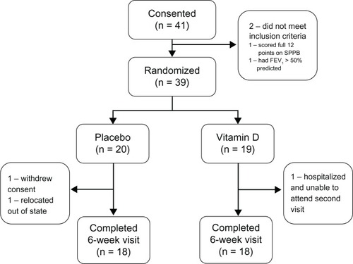 Figure 1 Study flow diagram.