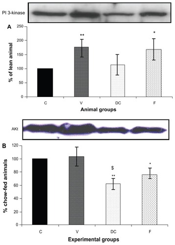 Figure 4 Protein expression of (A) PI3 kinase, and (B) AKt in rat skeletal muscle. Equal amounts (40 mg/well) of protein were separated by SDS-PAGE and immunoblotted with PI3 kinase or AKt antibodies.