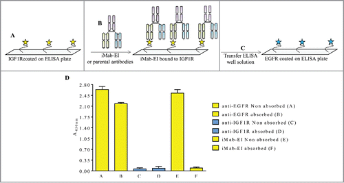 Figure 10. Schematic representation and data of the IGF1R ELISA transfer assay. (A) IGF1R was immobilized on the ELISA plate, (B) and incubated with iMab-EI or the 2 parental antibodies. The well volume of the iMab-EI or the parental antibodies pre-absorbed on an IGF1R-coated ELISA plates (C) were transferred to an ELISA plate with immobilized EGFR, (D) followed by detection of binding using an anti-human-kappa-HRP labeled antibody.