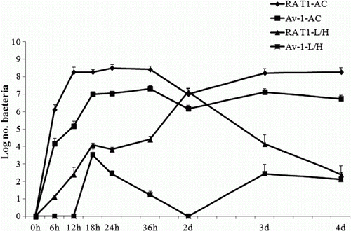 Figure 2.  Growth curve of R. anatipestifer RA T1 and Av-1 strains after inoculation with 102 CFU into the AC of 10-day-old chicken embryos (n = 5). The mean CFU present in AC fluid and embryonic liver and heart (L/H) was followed over time. Each point represents the mean±standard deviation of five embryos per group. None of the strains were recovered from control eggs inoculated with PBS alone.