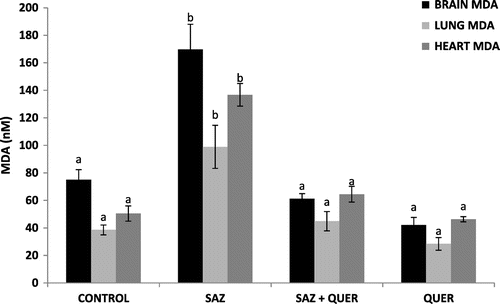Figure 1. Effects of quercetin in NaN3-induced brain, lung, and heart lipid peroxidation in rats.