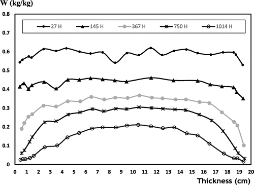 Figure 5. Autoclaved cellular concrete (ACC) water content gamma ray hydric profiles in laboratory “natural” drying (Freitas, Citation1992).