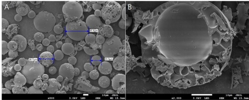 Figure 2. Scanning electron microscope image of GeXIVA[1,2] microspheres prepared by basic recipe: (A) Surface morphology of microspheres; (B) Internal structure of microspheres.