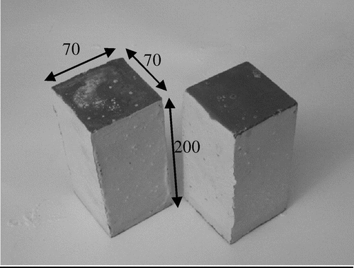 Figure 3. Characteristics of the red brick samples tested (dimensions in mm).