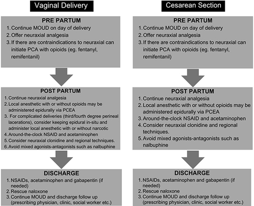 Figure 3 Practical approach for managing pain in the parturient with on MOUD during vaginal delivery (left) and cesarean section (right).