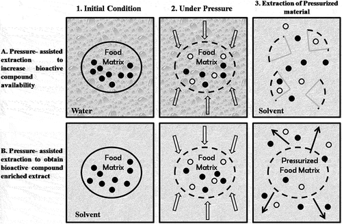 Figure 1. Schematic representation of the steps commonly applied in studies reporting effect of high-pressure processing (HPP) on food compound extractability (Jung, Citation2016).
