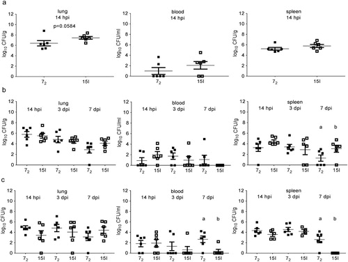 Figure 4. Bacterial colonization of tissues. Inbred lines 72 and 15I chickens were inoculated with (a) the high, (b) the intermediate or (c) the low dose of APEC O1. Bacterial loads in lung, blood and spleen were determined at different time points. Six birds of each line were sampled at each time point after each challenge dose. The mean with SEM is shown. Groups with different letters are significantly different (P < 0.05).