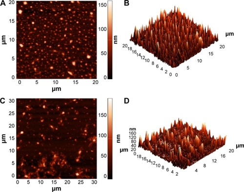Figure 2 2D images of blank NLC (A) and IBU-NLC (C). 3D images of blank NLC (B) and IBU-NLC (D) revealing the morphology and size of the formulations (n=3).Abbreviations: 2D, two dimensional; NLC, nanostructured lipid carrier; IBU-NLC, ibuprofen-loaded nanostructured lipid carrier; 3D, three dimensional.