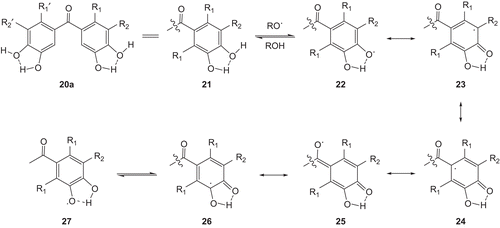 Scheme 4.  Stabilization of radicals by phenol 20.